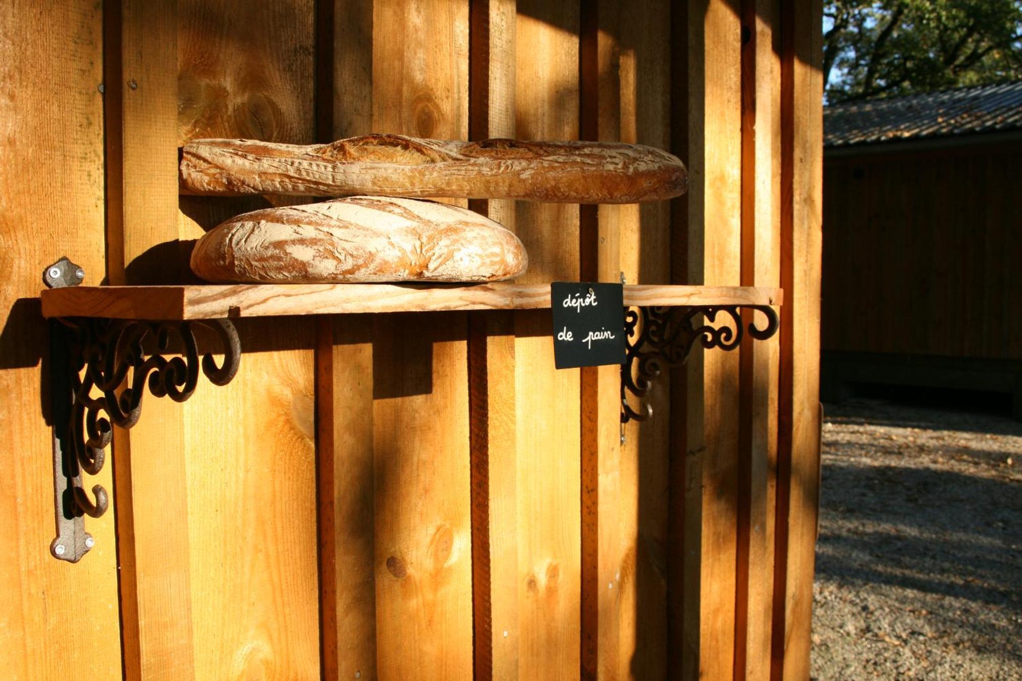 Château De Termes Hébergement de vacances *