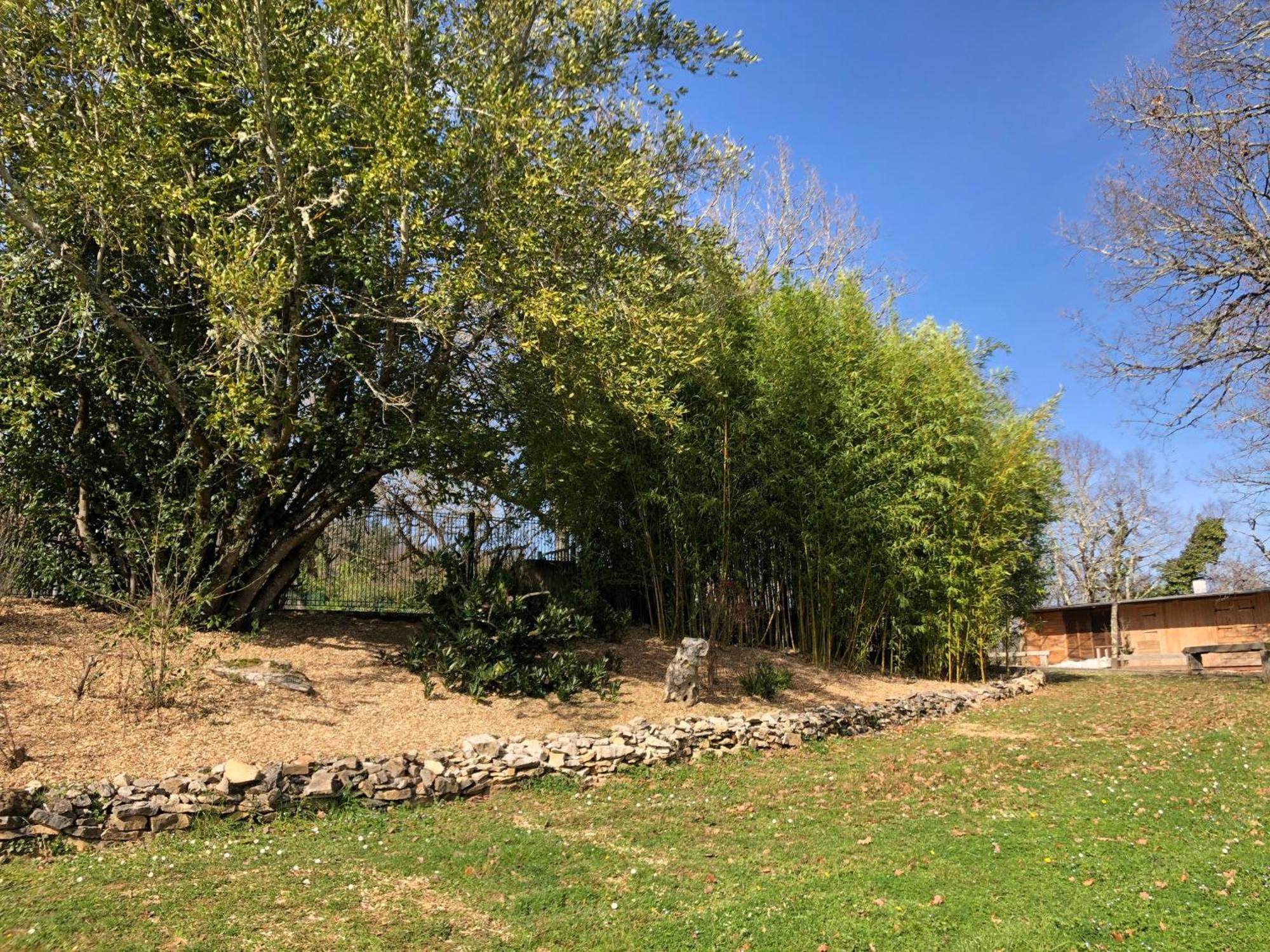 Château De Termes Hébergement de vacances